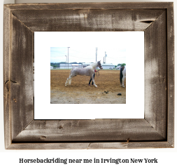 horseback riding near me in Irvington, New York